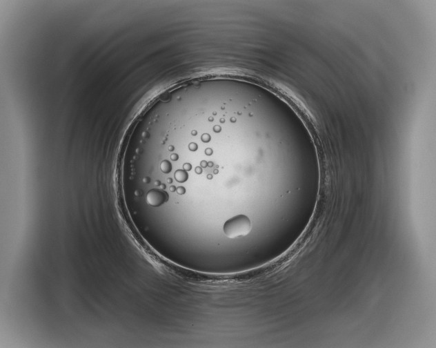 X0000116631282200912181317