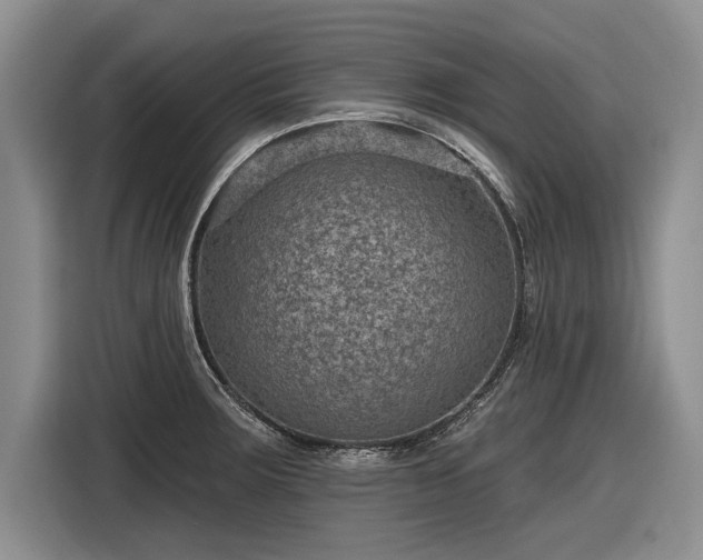 X0000116631283200912181317