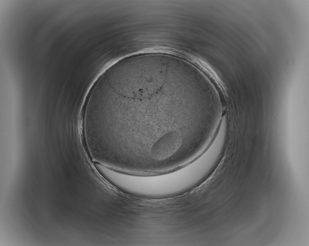 X0000116631284200912181317