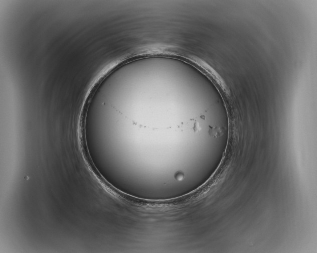 X0000116631285200912181317