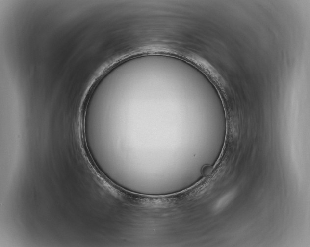 X0000116631286200912181317