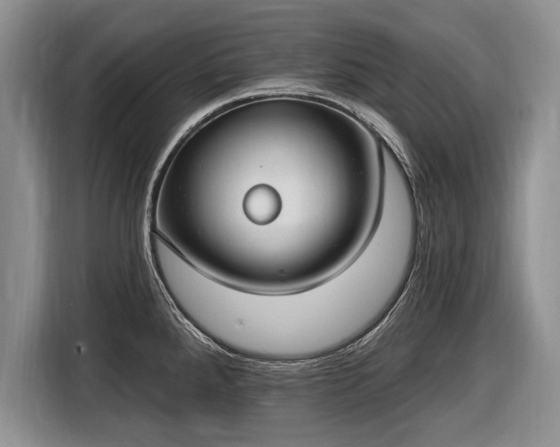 X0000116631288200912181317