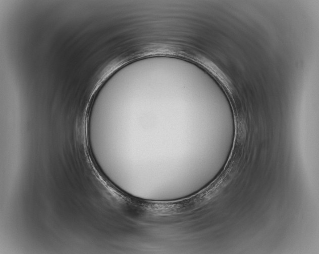 X0000116631290200912181317