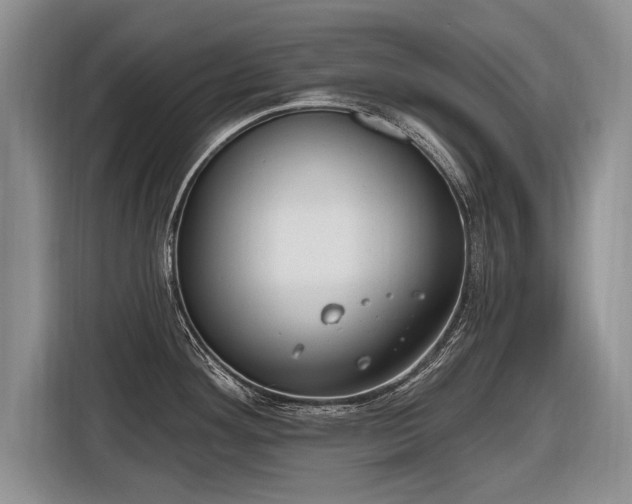 X0000116631292200912181317