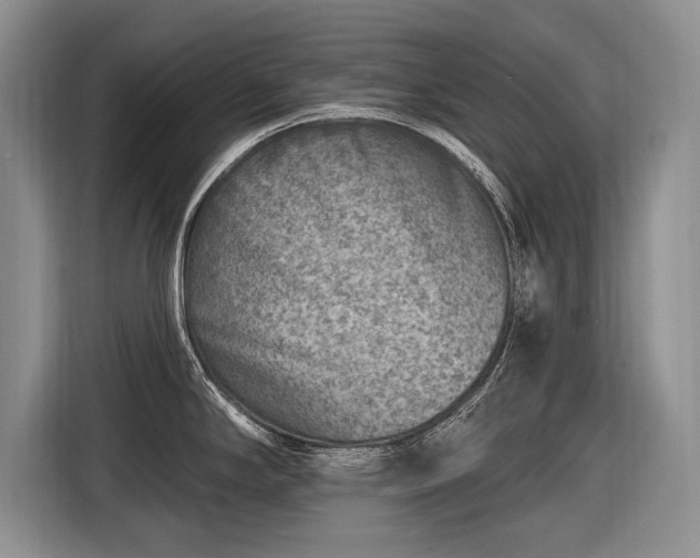 X0000116631294200912181317