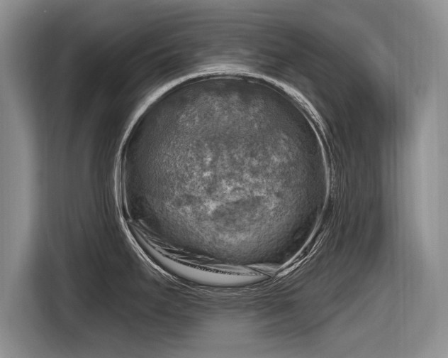 X0000116631295200912181317