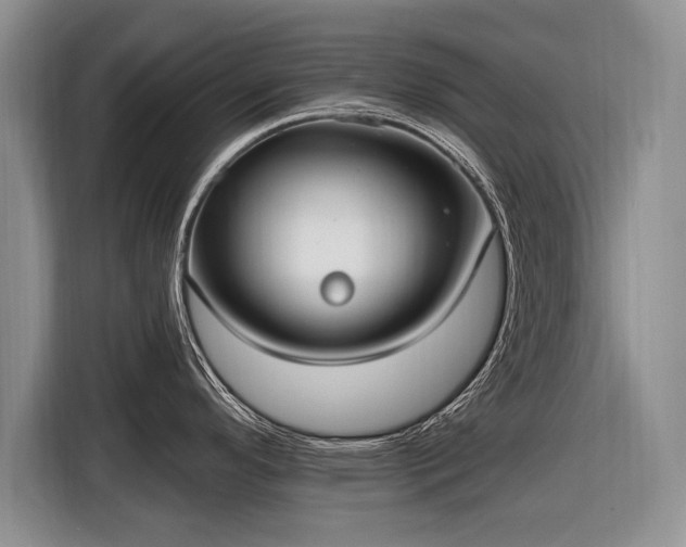 X0000116631296200912181317