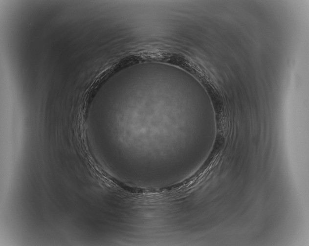 X0000116631297200912181317