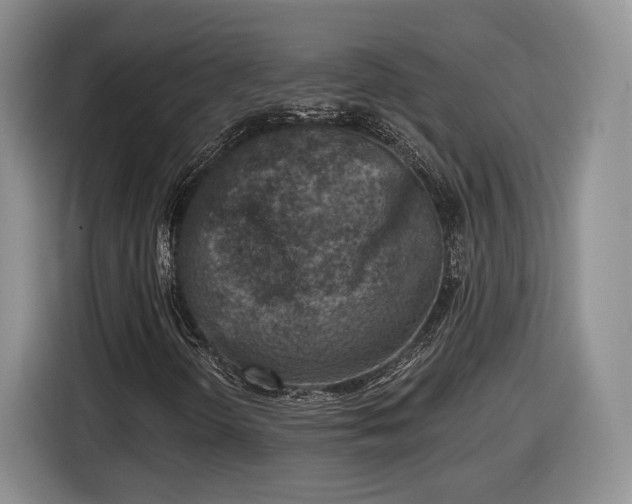 X0000116631298200912181317