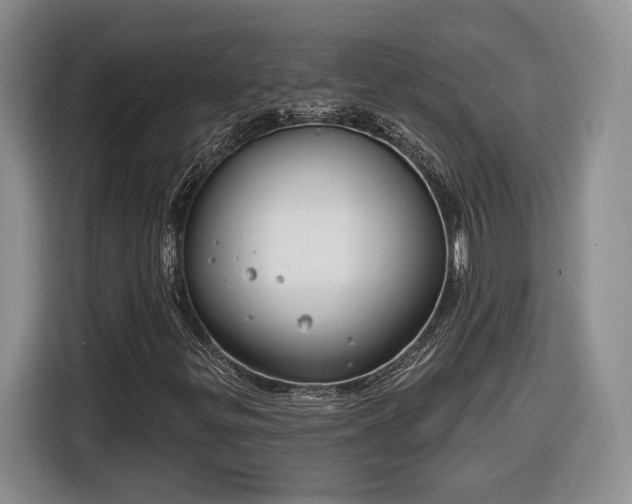 X0000116631299200912181317