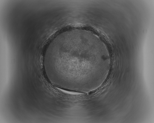 X0000116631301200912181317