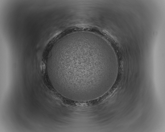 X0000116631302200912181317