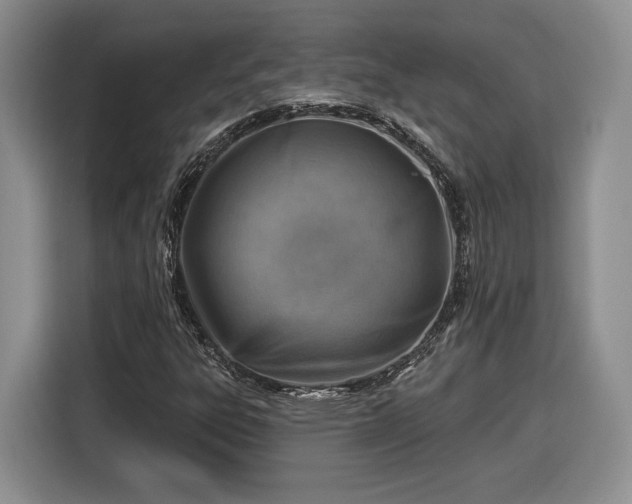 X0000116631303200912181317