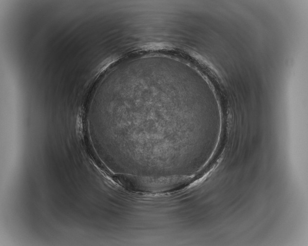 X0000116631305200912181317