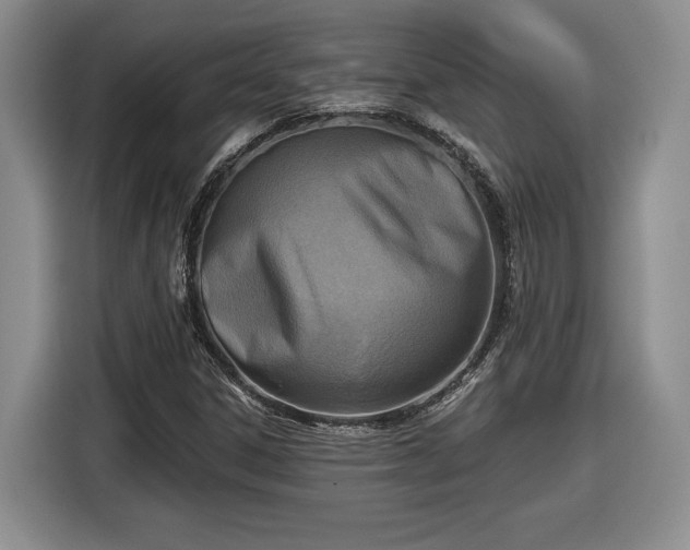 X0000116631306200912181317