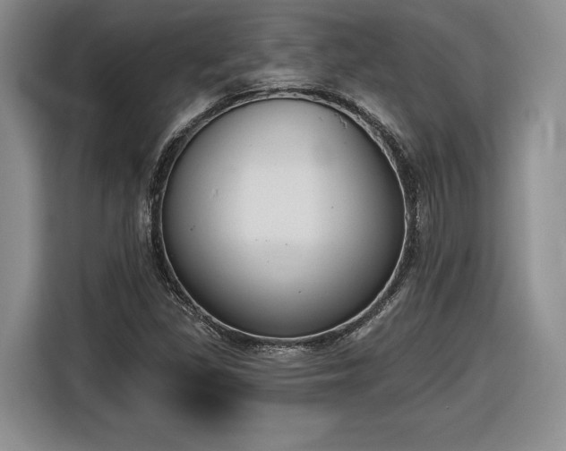 X0000116631309200912181317