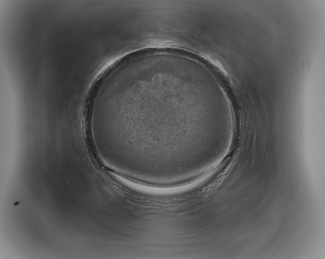 X0000116631311200912181317