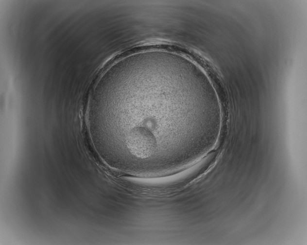 X0000116631313200912181317