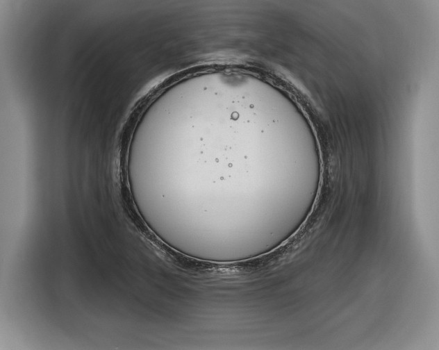 X0000116631315200912181317