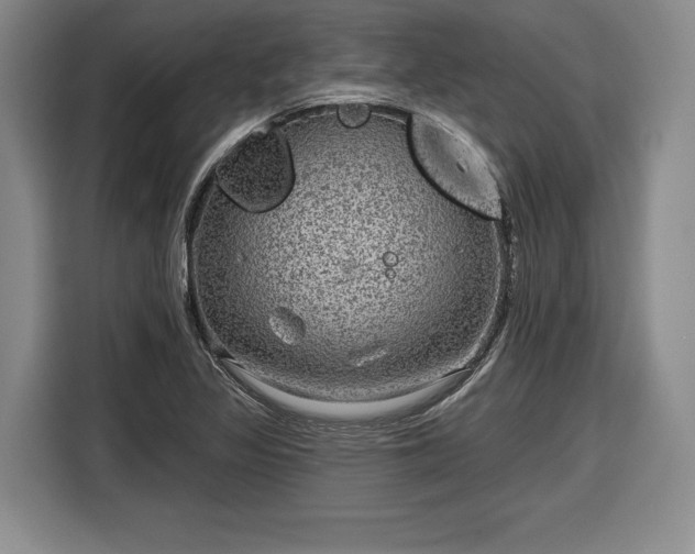 X0000116631317200912181317