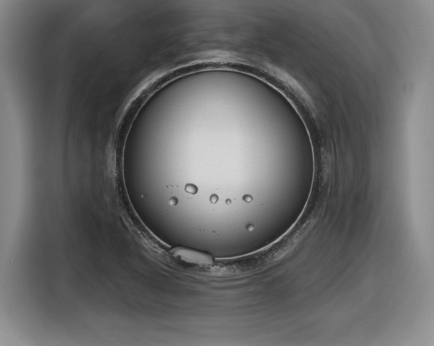 X0000116631318200912181317