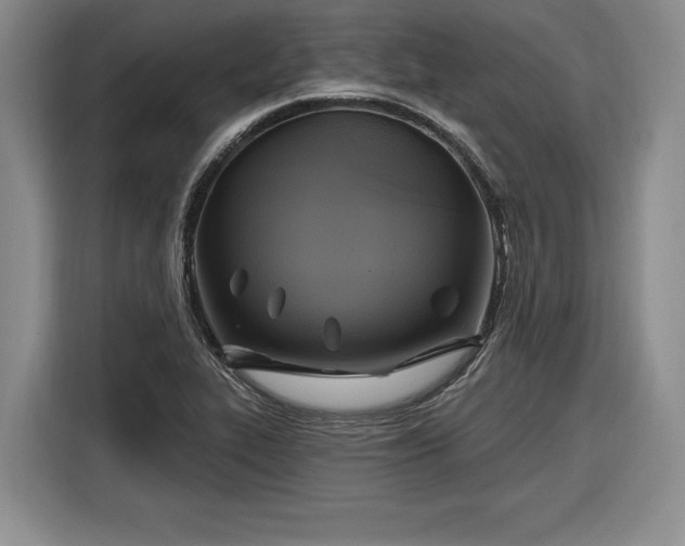 X0000116631319200912181317