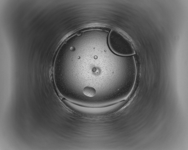 X0000116631321200912181317