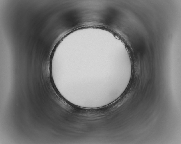 X0000116631322200912181317