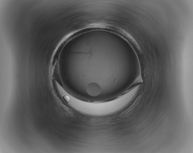 X0000116631323200912181317