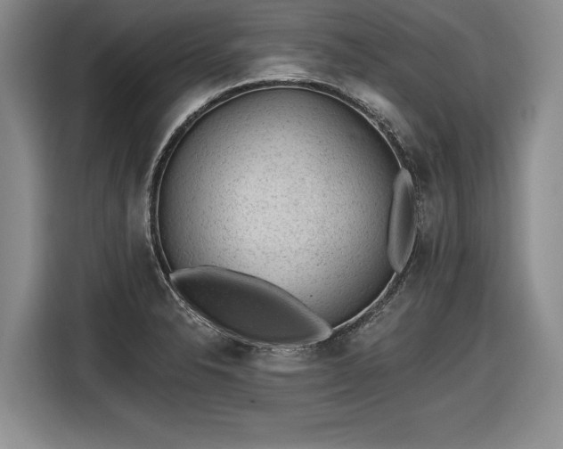 X0000116631326200912181317