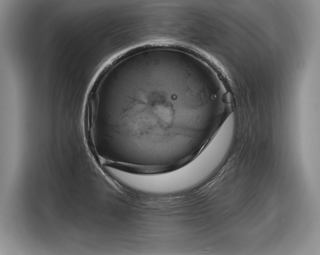 X0000116631327200912181317