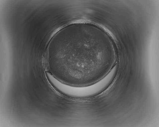 X0000116631329200912181317