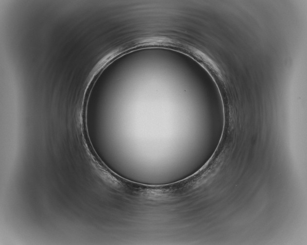 X0000116631330200912181317