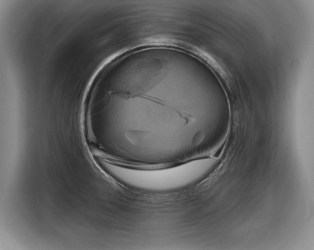 X0000116631331200912181317