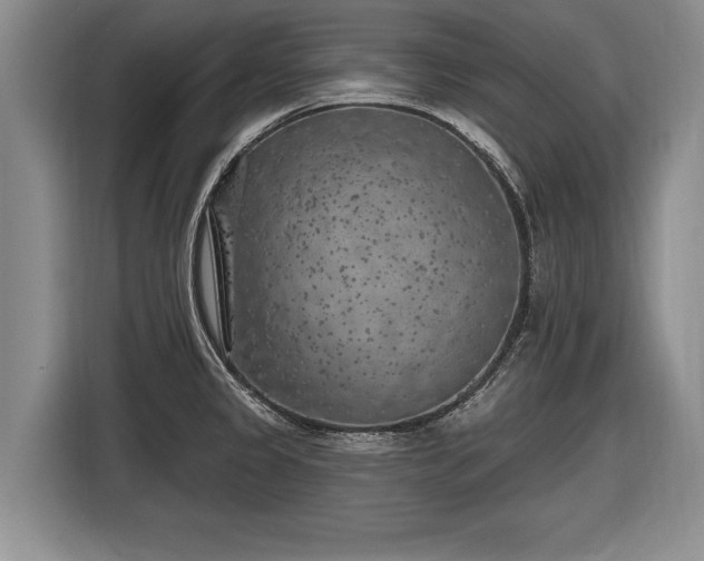 X0000116631333200912181317