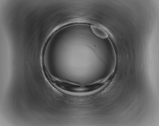 X0000116631334200912181317