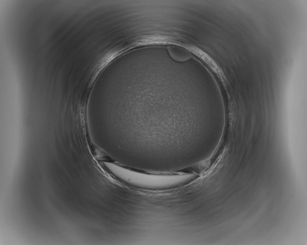 X0000116631337200912181317