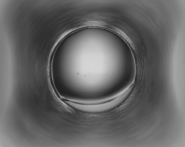 X0000116631339200912181317