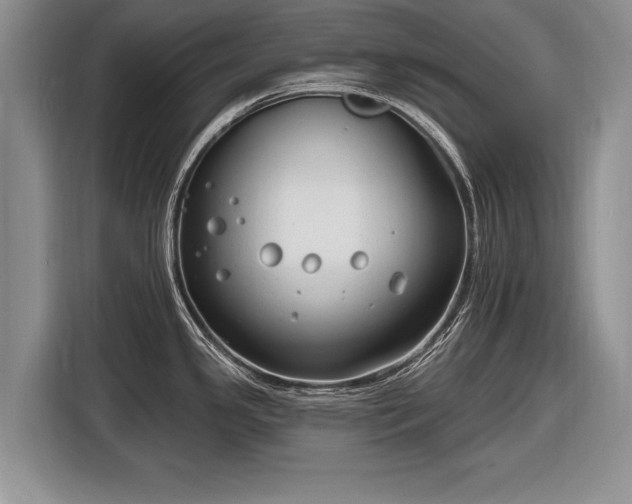 X0000116631341200912181317