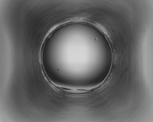 X0000116631342200912181317