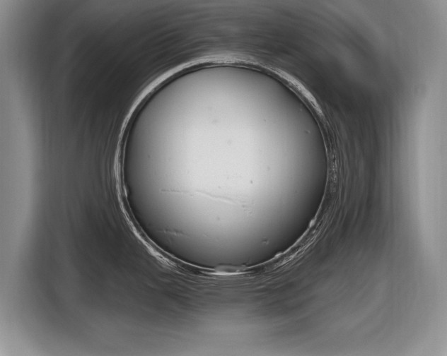 X0000116631343200912181317