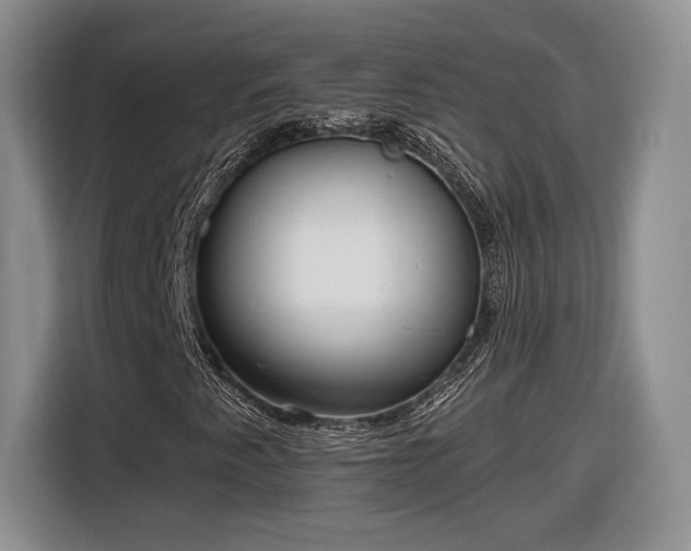 X0000116631345200912181317