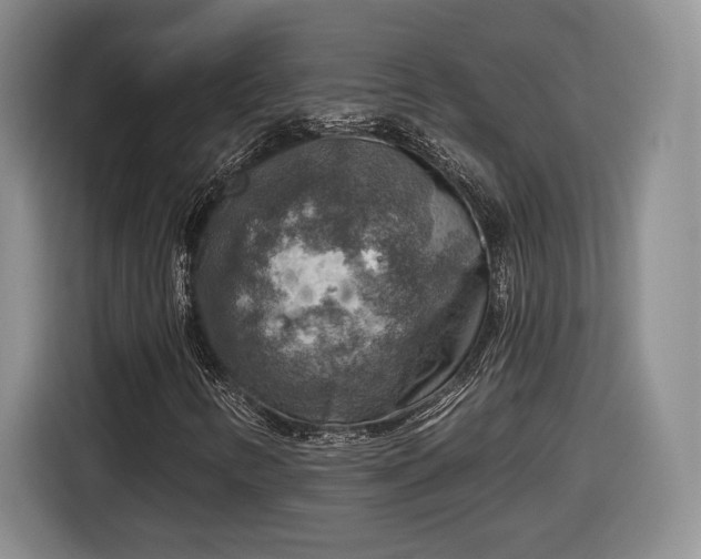 X0000116631346200912181317