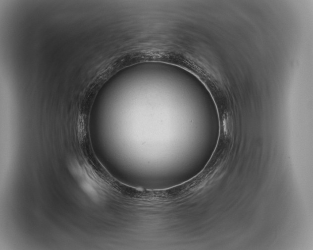 X0000116631347200912181317