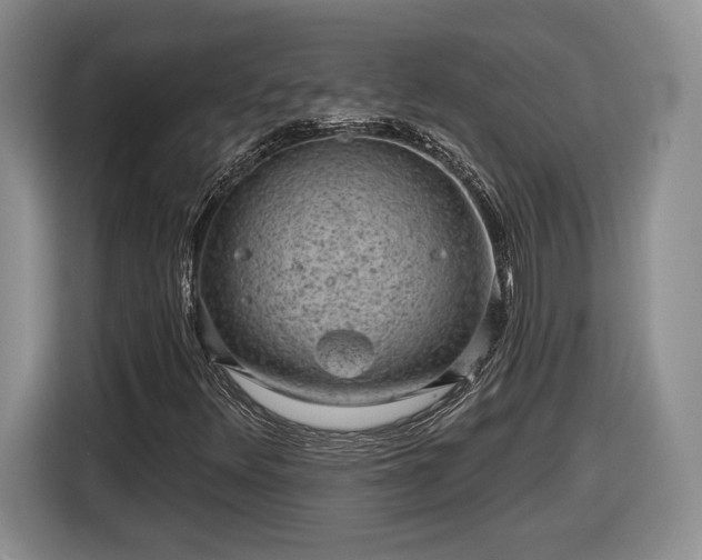 X0000116631348200912181317