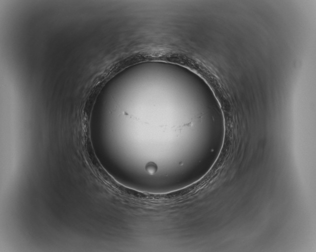 X0000116631349200912181317