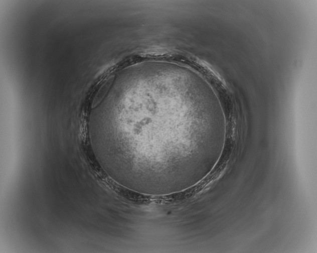 X0000116631350200912181317