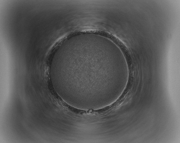 X0000116631351200912181317