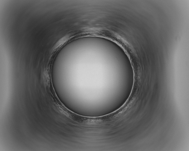 X0000116631354200912181316