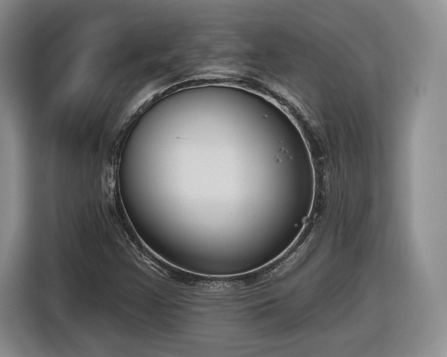 X0000116631355200912181316